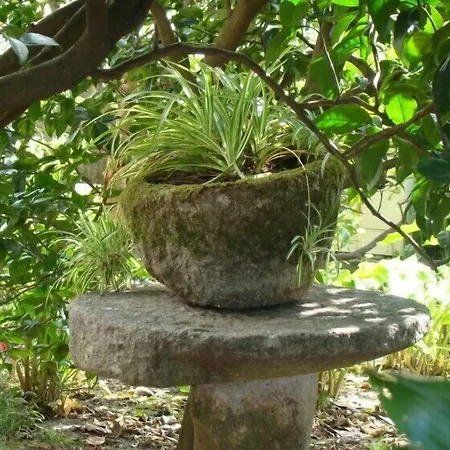 Casa Peto 게스트하우스